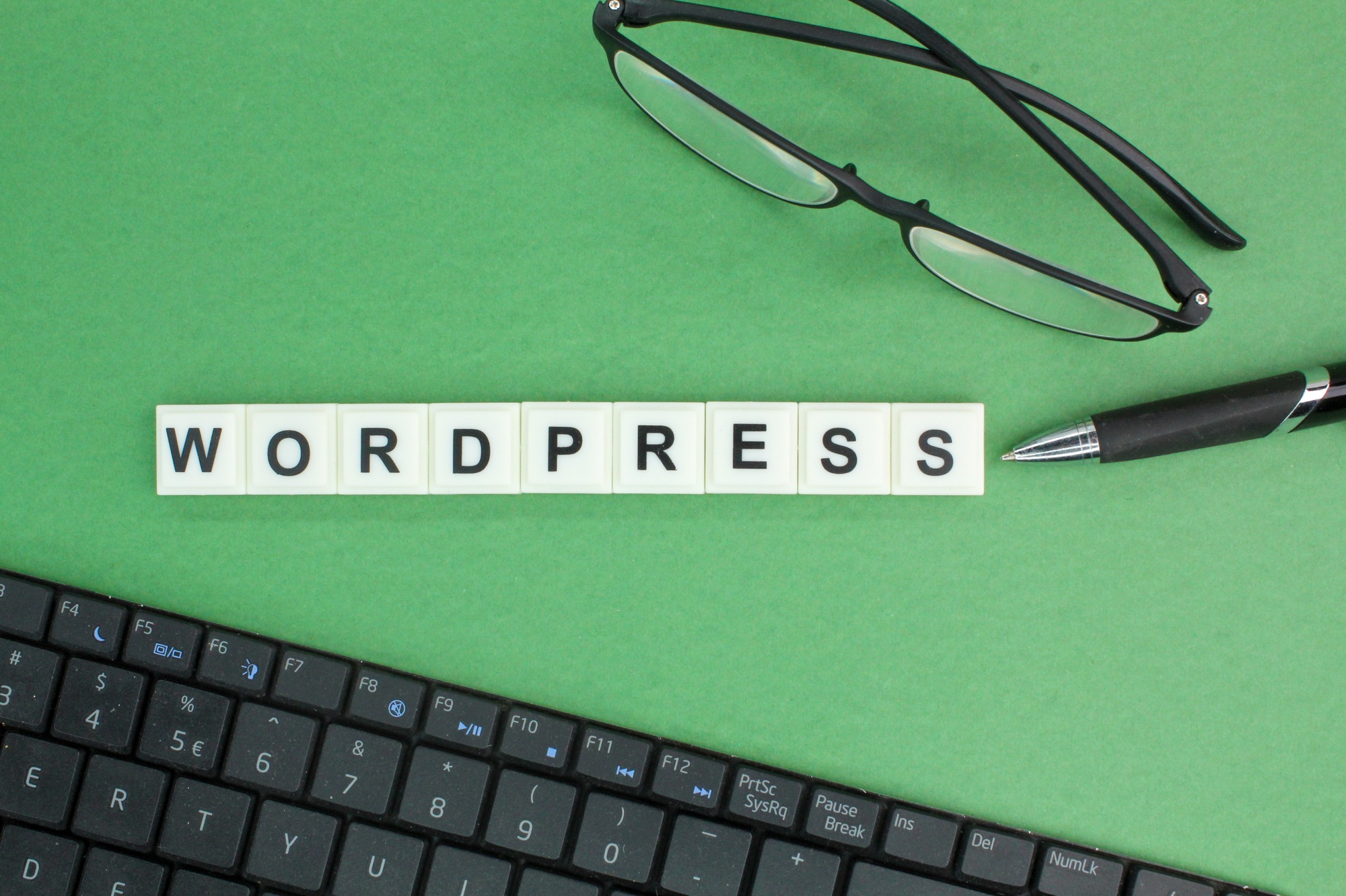 How to Develop a WordPress Plugin